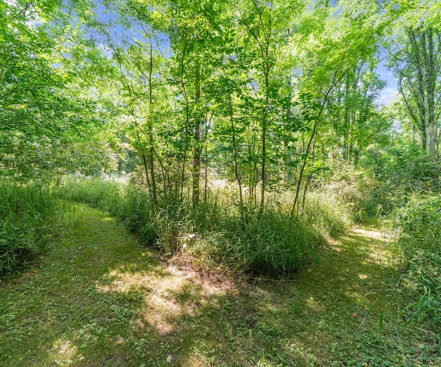 278 E Southern Rd, Coldwater, MI 49036 - view of undeveloped land