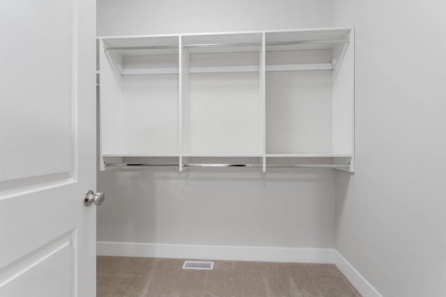 1519 Eagle Shore Ct, Hudsonville, MI 49426 - spacious closet with carpet