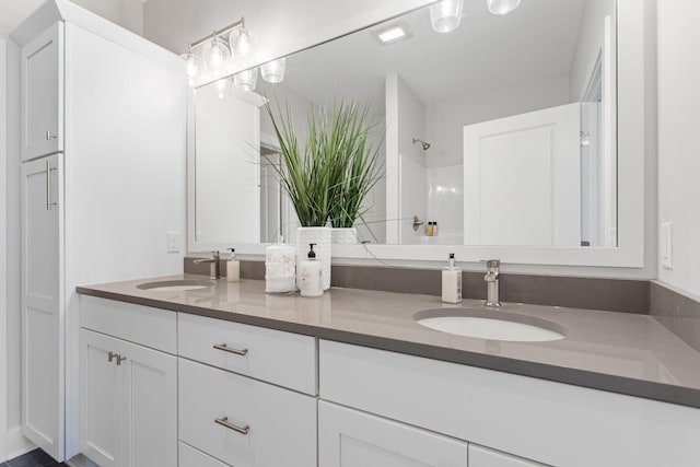 1519 Eagle Shore Ct, Hudsonville, MI 49426 - full bathroom with double vanity