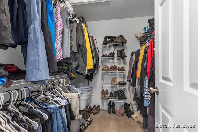 5845 Nile Dr SW, Wyoming, MI 49418 - walk in closet featuring carpet
