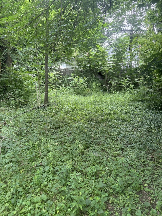 20026 Avon Ave, Detroit, MI 48219 - view of undeveloped land