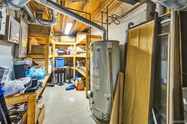 584 Cambridge Way, Bloomfield Hills, MI 48304 - storage area with gas water heater and electric panel