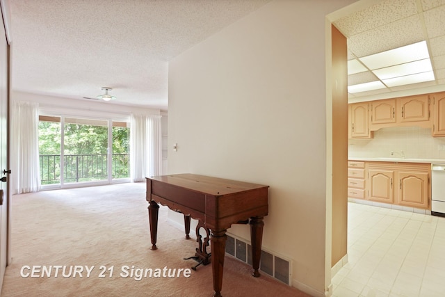 4515 Gratiot Rd, Saginaw, MI 48638 - corridor featuring light colored carpet and a sink