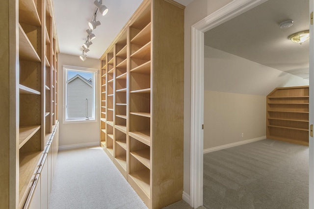 436 Pine Brae St, Ann Arbor, MI 48105 - walk in closet with carpet and lofted ceiling