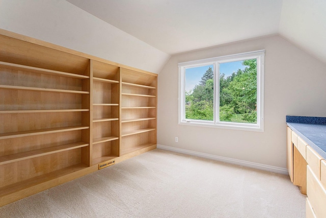 436 Pine Brae St, Ann Arbor, MI 48105 - bonus room featuring lofted ceiling and light colored carpet
