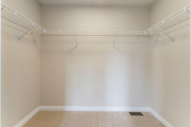 436 Pine Brae St, Ann Arbor, MI 48105 - spacious closet with carpet