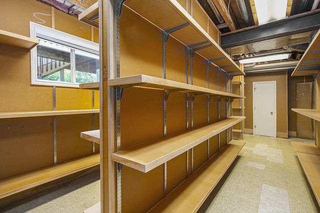 436 Pine Brae St, Ann Arbor, MI 48105 - view of storage