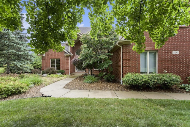 436 Pine Brae St, Ann Arbor, MI 48105 - view of property hidden behind natural elements with brick siding and a front yard