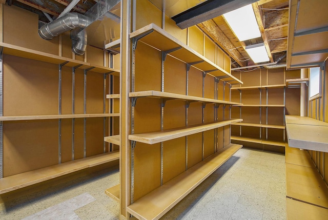 436 Pine Brae St, Ann Arbor, MI 48105 - view of storage room