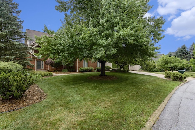 436 Pine Brae St, Ann Arbor, MI 48105 - view of property hidden behind natural elements with a front yard, curved driveway, and brick siding