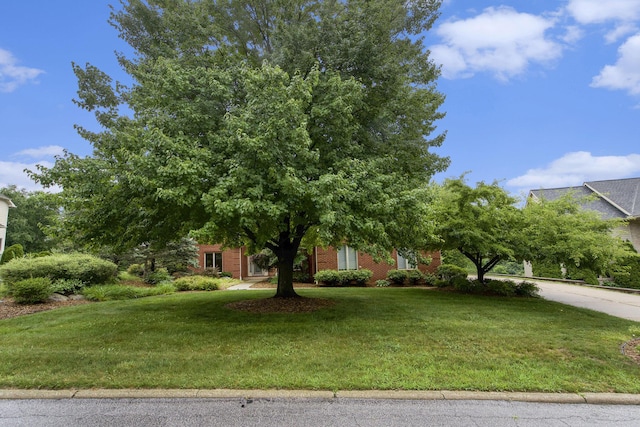 436 Pine Brae St, Ann Arbor, MI 48105 - obstructed view of property with a front yard