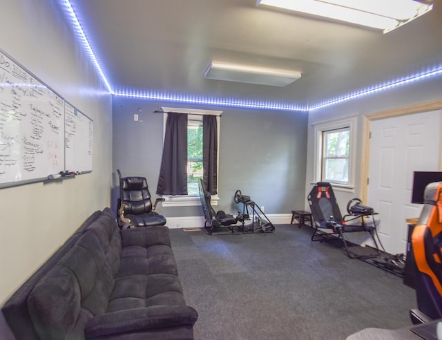 500 W Chicago St, Coldwater, MI 49036 - exercise area featuring plenty of natural light and carpet flooring