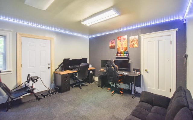 500 W Chicago St, Coldwater, MI 49036 - view of carpeted home office
