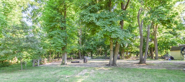 500 W Chicago St, Coldwater, MI 49036 - view of grassy yard