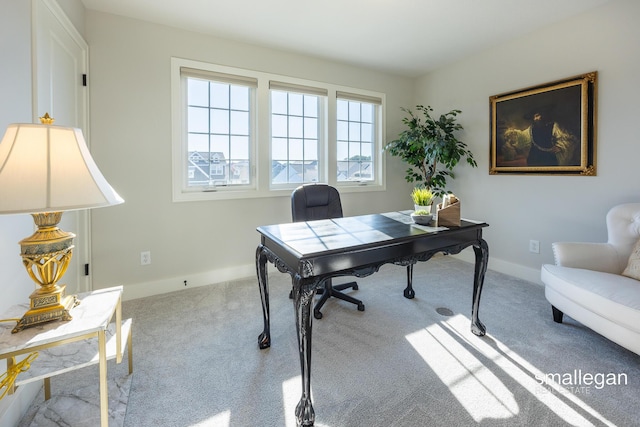 8906 Emerado Rd, Jenison, MI 49428 - photo 23