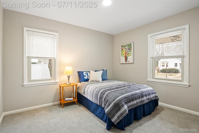 2205 Hanford Ave, Lincoln Park, MI 48146 - photo 13
