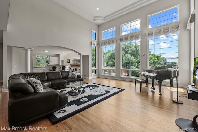 519 Hawksmoore Dr, Clarkston, MI 48348 - living room with ornate columns, arched walkways, a high ceiling, and wood finished floors