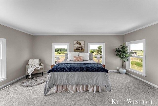 7761 Leonard St, Coopersville, MI 49404 - photo 38