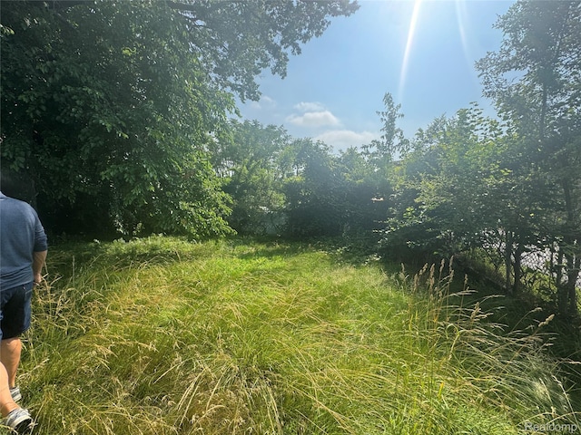 17416 Bentler St, Detroit, MI 48219 - view of nature