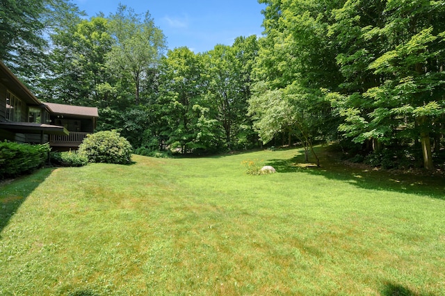 1130 W G Ave, Kalamazoo, MI 49009 - view of green lawn