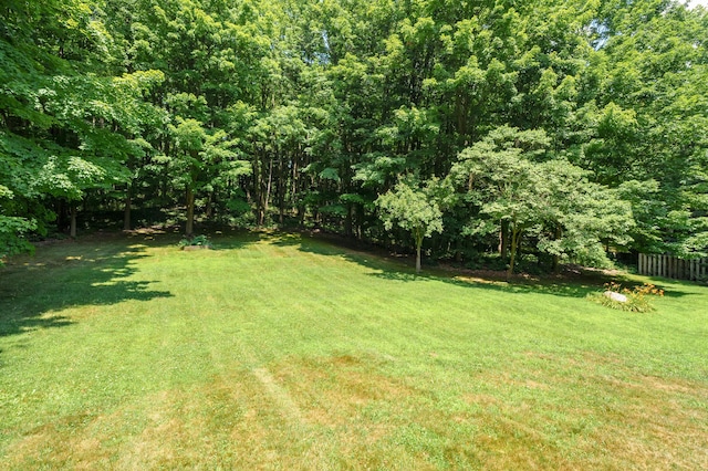 1130 W G Ave, Kalamazoo, MI 49009 - view of yard