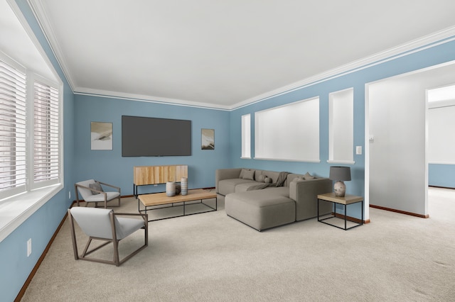 1130 W G Ave, Kalamazoo, MI 49009 - living area featuring crown molding and carpet floors