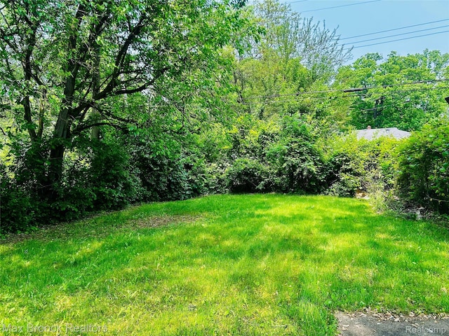 22510 Frisbee St, Detroit, MI 48219 - view of yard