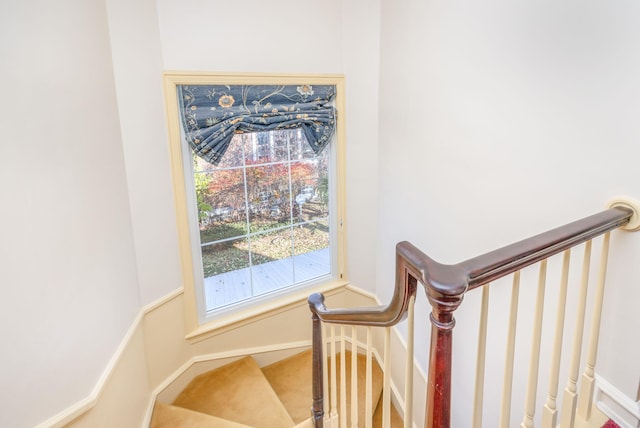 106 Rust Ave, Big Rapids, MI 49307 - stairway with carpet and baseboards