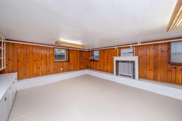 106 Rust Ave, Big Rapids, MI 49307 - basement featuring wooden walls
