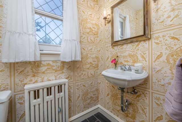 106 Rust Ave, Big Rapids, MI 49307 - bathroom with tile patterned flooring and toilet