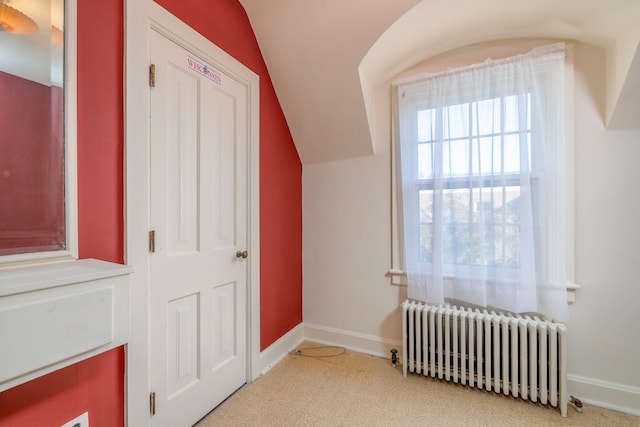 106 Rust Ave, Big Rapids, MI 49307 - bonus room featuring radiator, lofted ceiling, and carpet