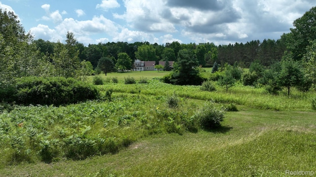 3733 N Hoover Ave, Gladwin, MI 48624 - view of wooded area with a view of countryside