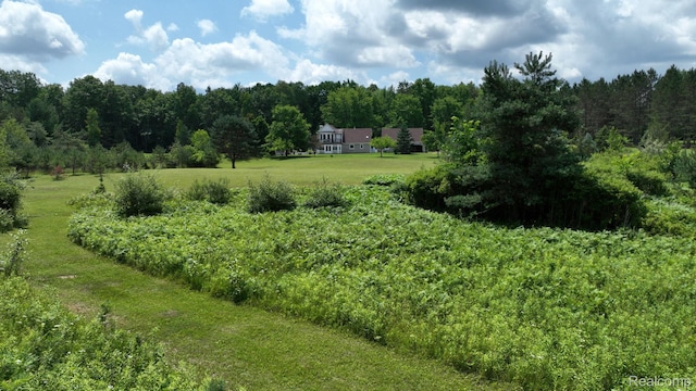 3733 N Hoover Ave, Gladwin, MI 48624 - view of woods