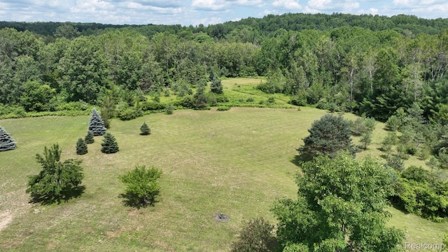 3733 N Hoover Ave, Gladwin, MI 48624 - bird's eye view of a heavily wooded area