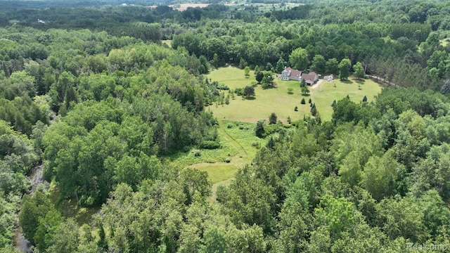 3733 N Hoover Ave, Gladwin, MI 48624 - view of property location featuring a heavily wooded area