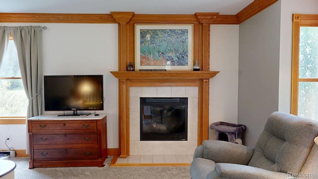 3733 N Hoover Ave, Gladwin, MI 48624 - living room featuring carpet flooring and a tiled fireplace