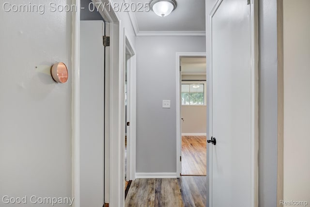 18913 Myron St, Livonia, MI 48152 - photo 20