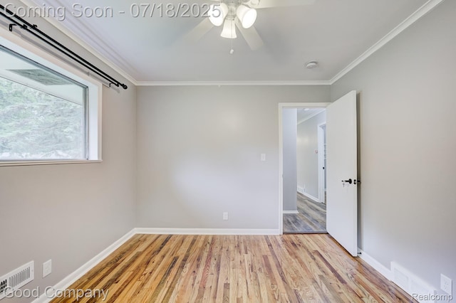 18913 Myron St, Livonia, MI 48152 - photo 27