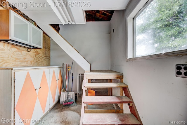 18913 Myron St, Livonia, MI 48152 - photo 33