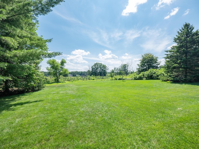 8835 Pine Island Ct N, Michigan, MI 49071 - photo 52