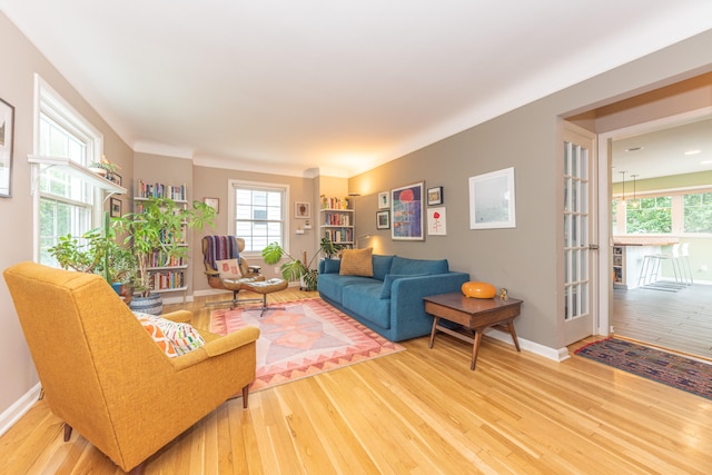 2100 Alice St, Ann Arbor, MI 48103 - living room featuring wood finished floors and baseboards