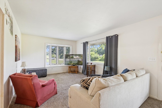 11 Geiger Ave, Battle Creek, MI 49037 - living area featuring carpet floors and baseboards