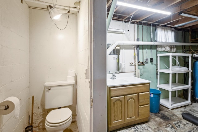 11 Geiger Ave, Battle Creek, MI 49037 - bathroom with vanity and concrete block wall