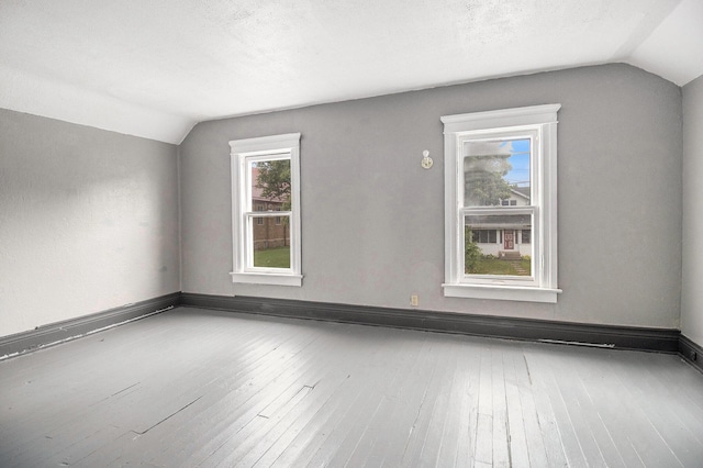 1850 S Burdick St, Kalamazoo, MI 49001 - additional living space featuring lofted ceiling and hardwood / wood-style floors
