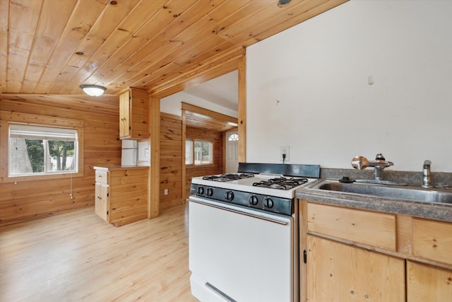 222 E Mill St, Hastings, MI 49058 - kitchen with white gas range oven, wood walls, healthy amount of natural light, light wood-type flooring, and wood ceiling