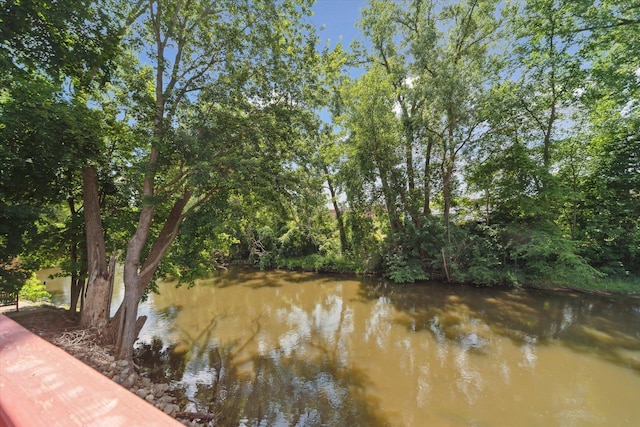 222 E Mill St, Hastings, MI 49058 - water view