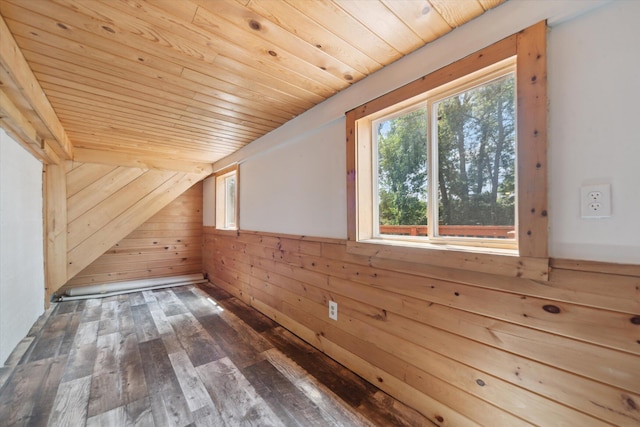 222 E Mill St, Hastings, MI 49058 - bonus room featuring wood walls, wooden ceiling, and wood-type flooring