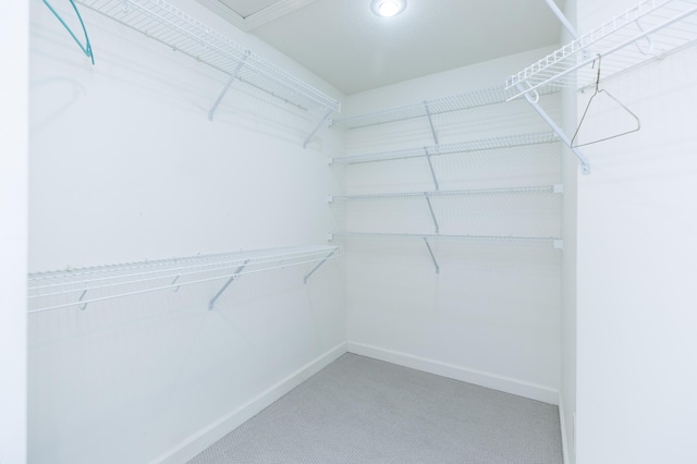 1803 Bell Rd, Niles, MI 49120 - spacious closet featuring carpet