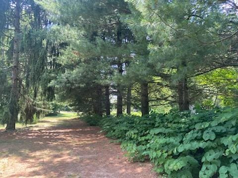 1803 Bell Rd, Niles, MI 49120 - view of woods
