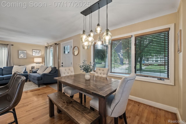309 S Dorchester Ave, Royal Oak, MI 48067 - dining space featuring healthy amount of natural light, light wood-style floors, and a chandelier